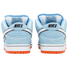 Nike Dunk Low Pro SB 'Gulf'