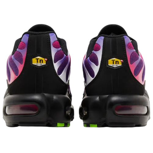 Nike Air Max Plus 'Rebellious Air'