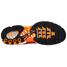 Nike Air Max Plus 'Light Photography - Sport Red'