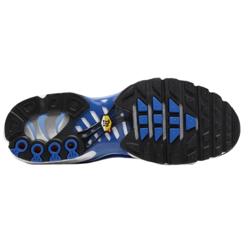 Nike Air Max Plus 'Light Photography - Old Royal'
